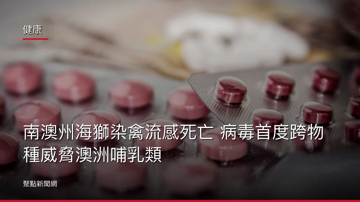 健康：南澳州海獅染禽流感死亡 病毒首度跨物種威脅澳洲哺乳類