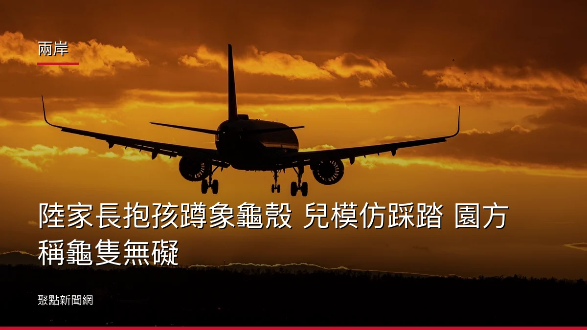 兩岸：陸家長抱孩蹲象龜殼 兒模仿踩踏 園方稱龜隻無礙