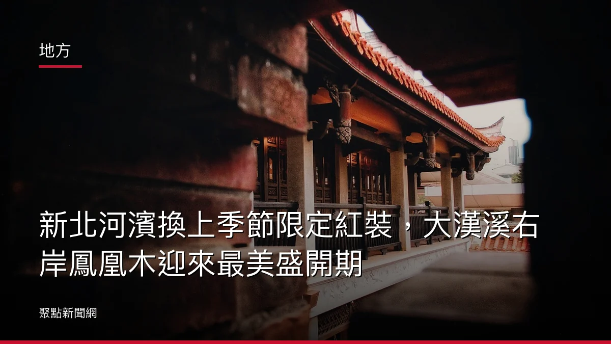 地方:新北河濱換上季節限定紅裝,大漢溪右岸鳳凰木迎來最美盛開期