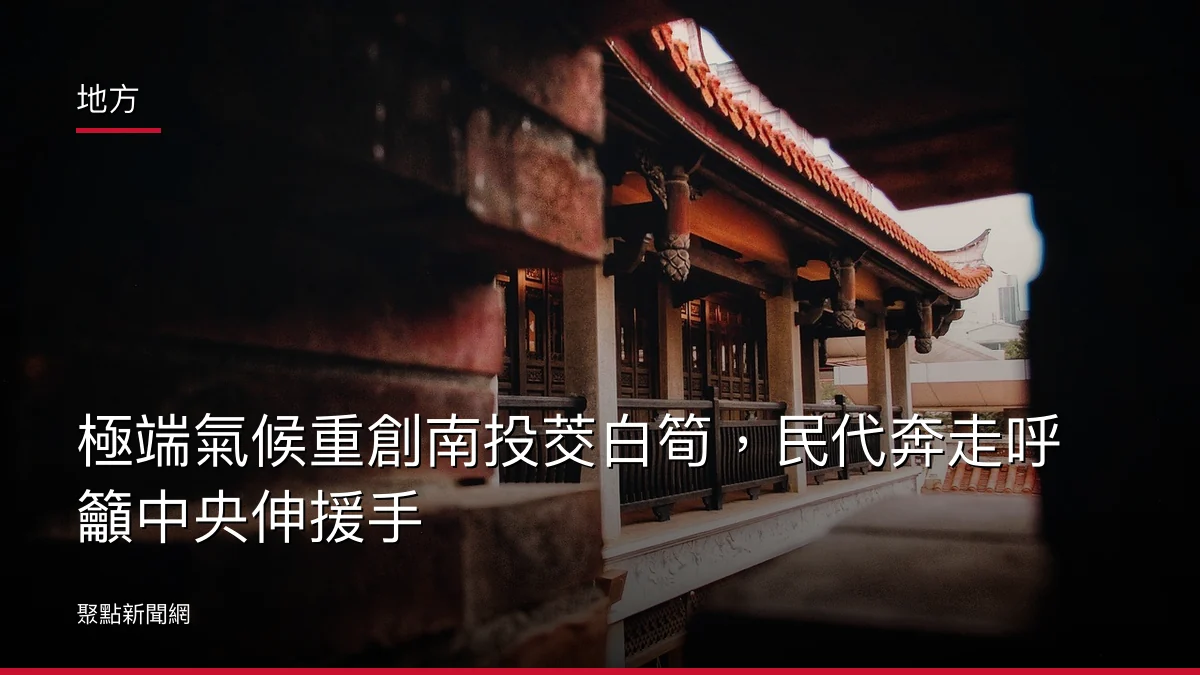 地方:極端氣候重創南投茭白筍,民代奔走呼籲中央伸援手