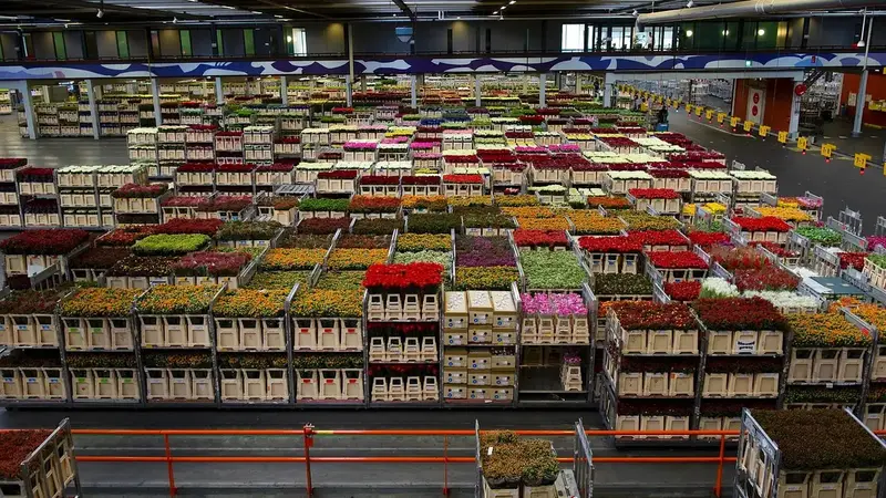 網紅點名好市多4大雷品，採購達人教你省錢避開冤枉錢（示意圖）
