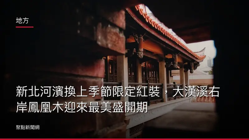 地方：新北河濱換上季節限定紅裝，大漢溪右岸鳳凰木迎來最美盛開期