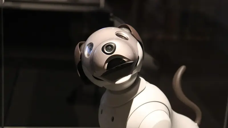 蕭美琴參訪台中智慧製造展，關注全台製機器狗應用（示意圖）