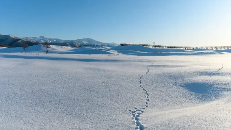 日本多地迎入冬首場白雪 氣溫驟降刷新低紀錄(示意圖)