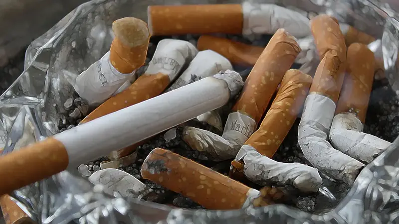 肺腺癌免疫防線遭破解？美研究揭露腫瘤周邊藏有特殊纖維母細胞（示意圖）