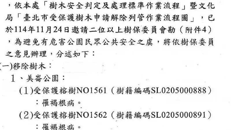 美崙公園李登輝前總統植樹遭移除，北市府：老樹染褐根病有倒塌危險