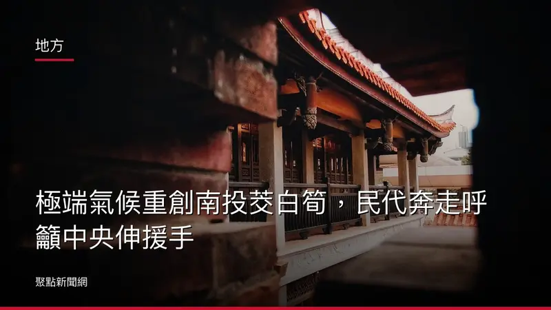 地方：極端氣候重創南投茭白筍，民代奔走呼籲中央伸援手