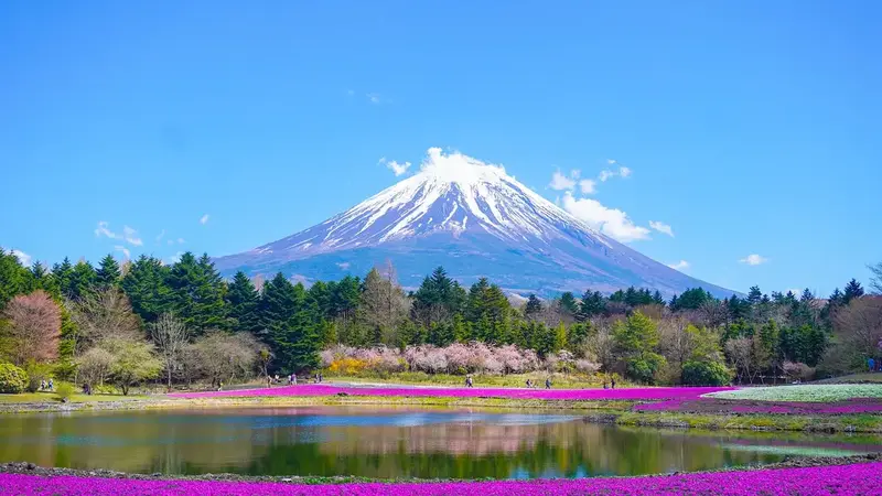 日本河口湖旅館驚傳命案,同團台籍女子相識不到一天竟持刀行兇(示意圖)