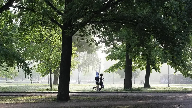 迎接十月全民運動會，桃園舉辦六大趣味關卡讓市民搶先體驗（示意圖）