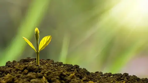 網紅眾量級財務糾紛一審宣判！Andy拍片痛訴錢到底去哪了（示意圖）