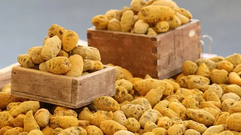 東門中繼市場十月開張！限時六百元搶一千元買菜金（示意圖）