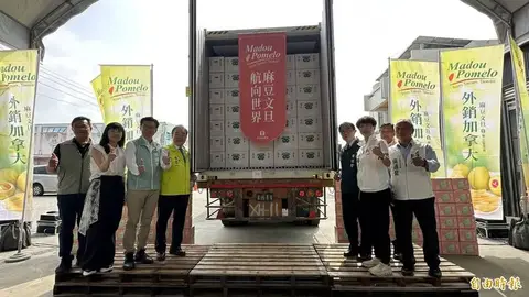 台南麻豆文旦外銷加拿大加碼封櫃,官員直言中國錯失美味很可惜
