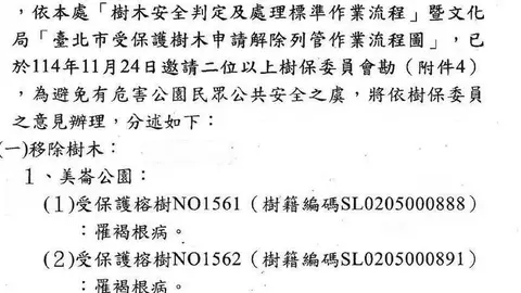 美崙公園李登輝前總統植樹遭移除，北市府：老樹染褐根病有倒塌危險