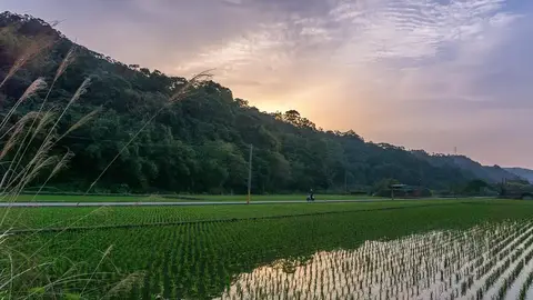 微熱山丘斥資20億打造「釀青山」園區,南投旺來產業園區將成鄉村生活新據點(示意圖)
