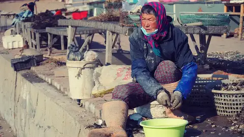 養蝦業者迎來檢測新福音,屏科大團隊秀出AI光學偵測裝置(示意圖)