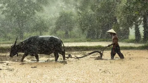 颱風帶來歷史暴雨重創福建莆田，八卦陣造型古村落幾乎全毀（示意圖）