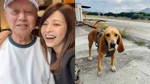 林葉亭父親搜救犬巴薩遭雨傘節咬傷離世，領犬員淚崩凸顯血清不足困境