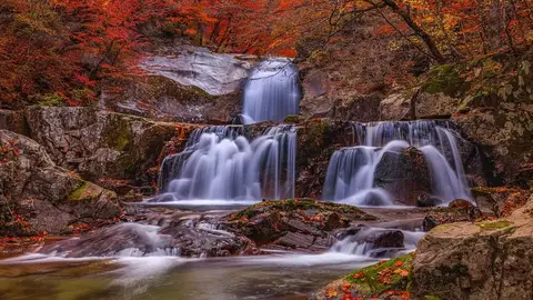 台中高山楓紅搶先看！福壽山、武陵、大雪山預計變色時間出爐（示意圖）