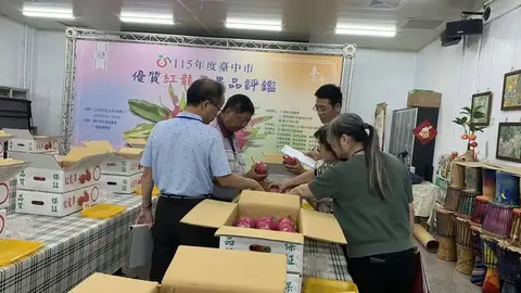 台中紅龍果王出爐 外埔區徐健勝抱走冠軍與兩萬獎金