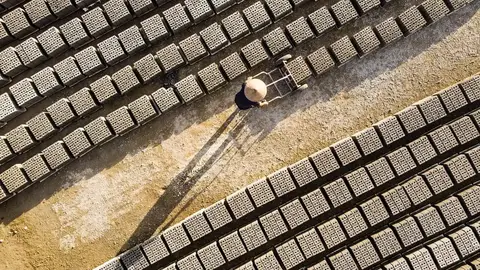 越南面臨人口結構反轉危機 專家示警人口紅利僅剩十年(示意圖)
